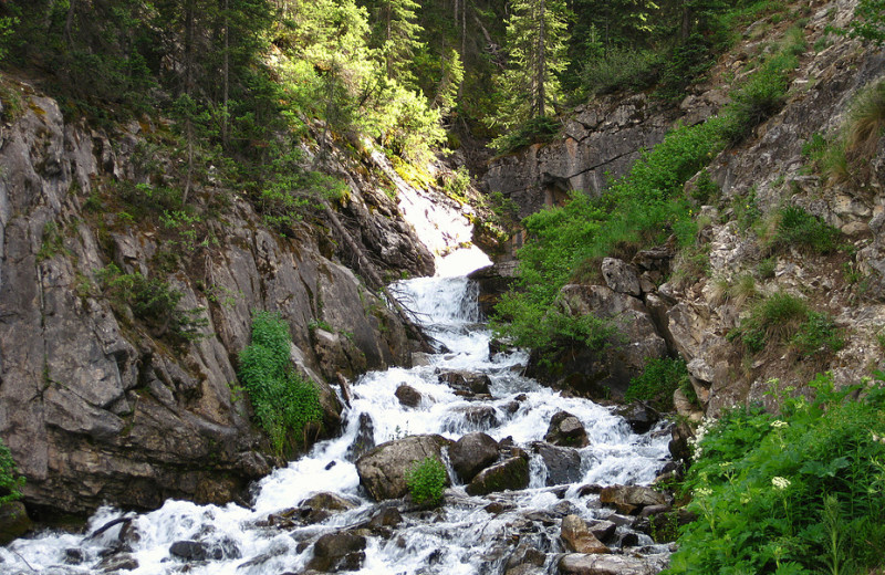 Stream at Bear Paw Lodge.