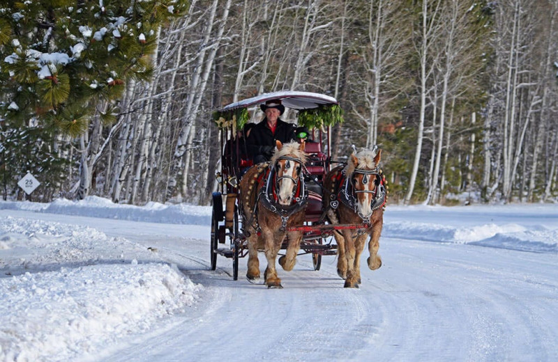 Sleigh ride at Black Butte Ranch.
