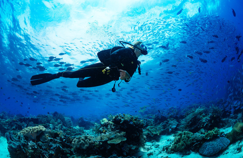 Diving at Rock Reef Resort.