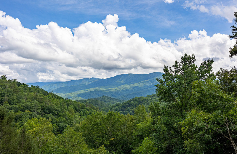 Scenic view at American Patriot Getaways - Smoky Sunrise.