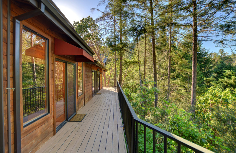 Cabin deck at Morrison's Rogue River Lodge.