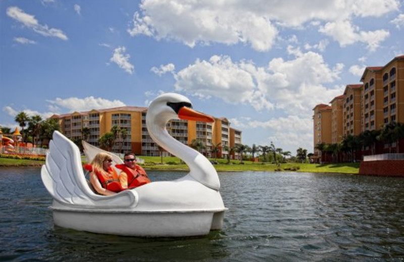 Paddle boat swan at Westgate Town Center.