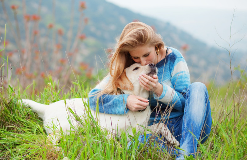 Pet friendly cabins at Eagles Ridge Resort.