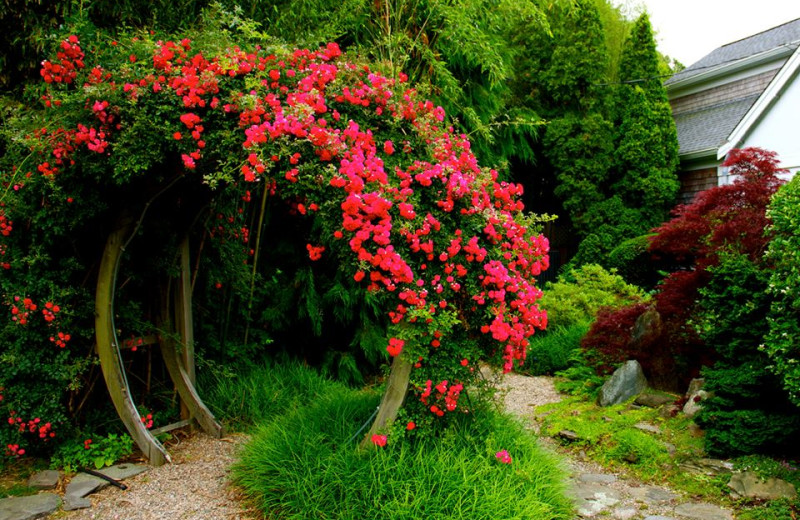 Garden at Pleasant Bay Village.