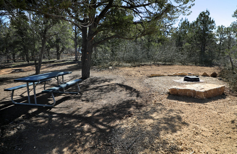 Camping at Zion Ponderosa Ranch Resort.