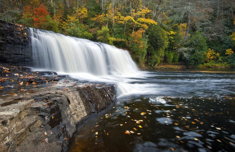 Waterfall near Carolina Mornings.