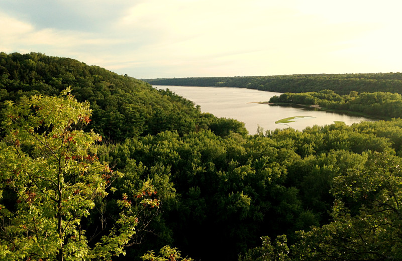 Scenic view at Country Inn River Falls.