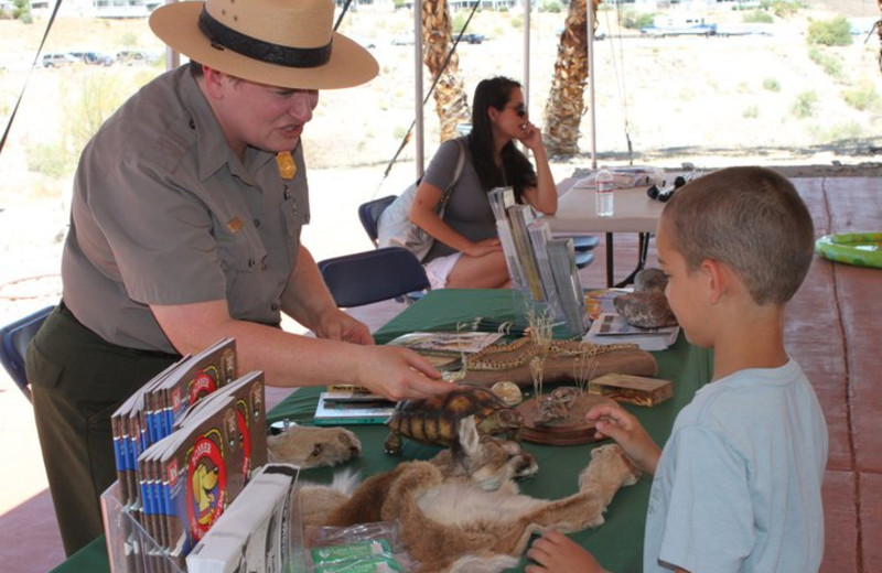 National Marina Day activities at Callville Bay.