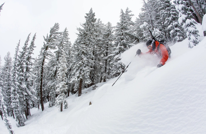 Ski at Tahoe Valley Lodge.