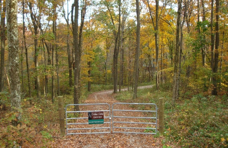 Trail at Corban Cabin Getaways.