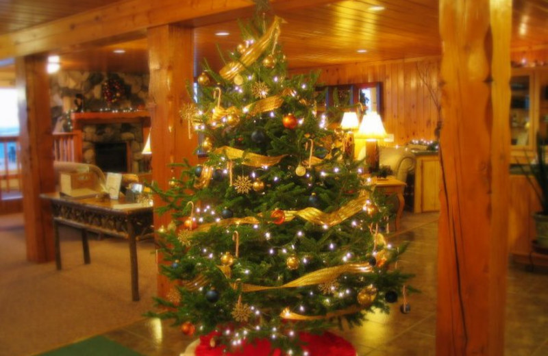 Christmas tree in the lobby at Chateau LeVeaux.