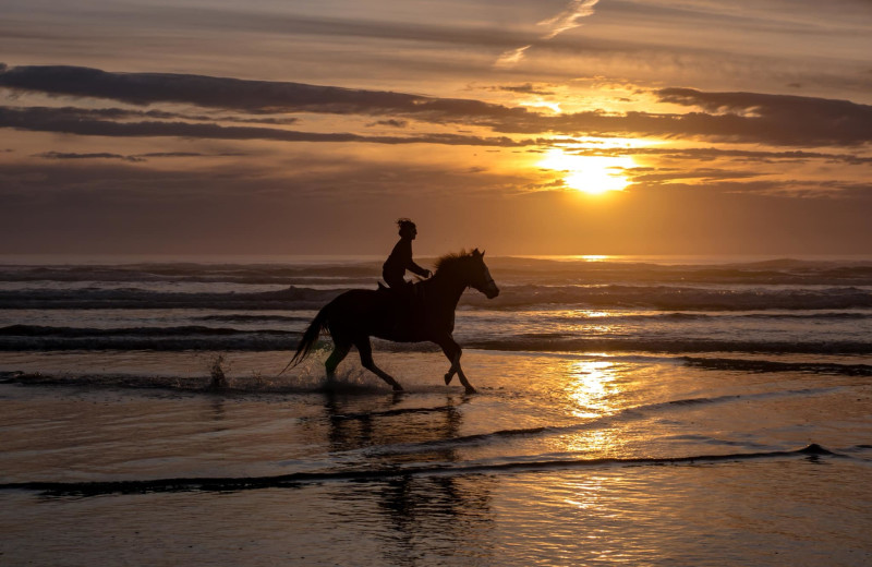 Horseback riding on the beach at Oyhut Bay Seaside Village.