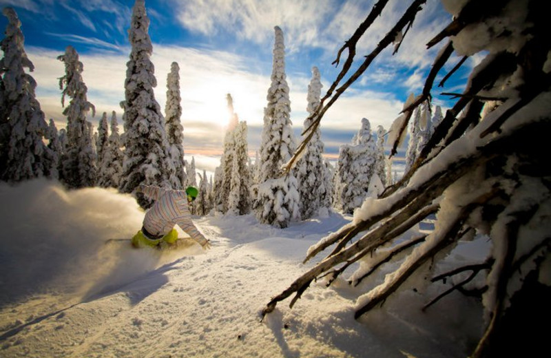 Skiing at Big White.