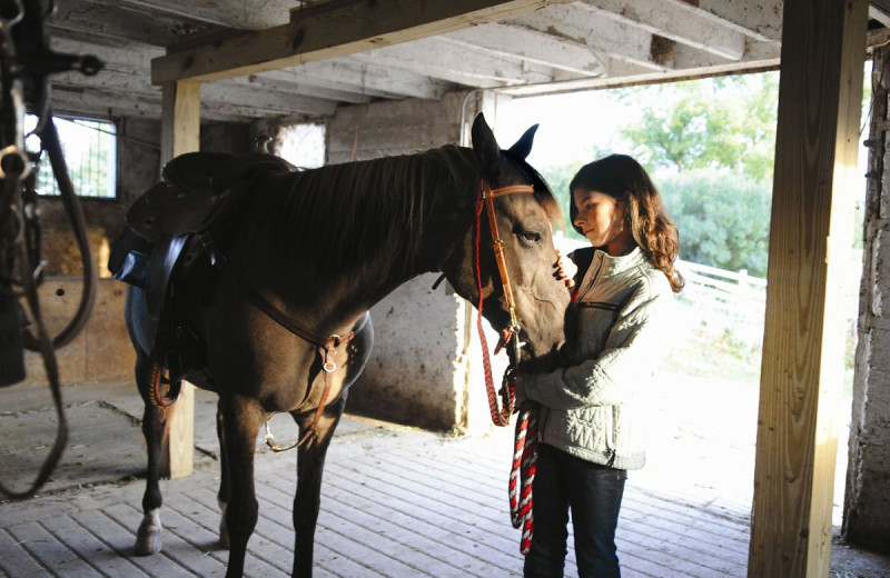 Stable at Grand Geneva Resort.