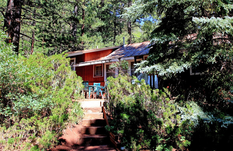 Cabin exterior view of Pine River Lodge.