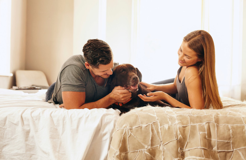 Pets welcome at Staybridge Suites Naples-Gulf Coast.