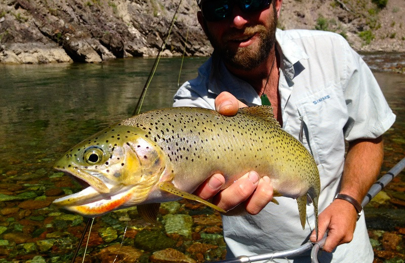 Glacier Outdoor Center is home of Glacier Anglers.  All cabin guests get 10% off rafting and fly fishing trips. Montana is legendary for fly fishing and our rivers are great for beginners as well as pros. Let our courteous guides take you on an unforgettable fly fishing trip on the rivers surrounding Glacier National Park 