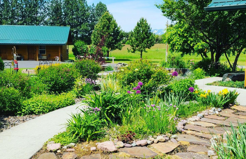 Garden at Bad Rock Bed 