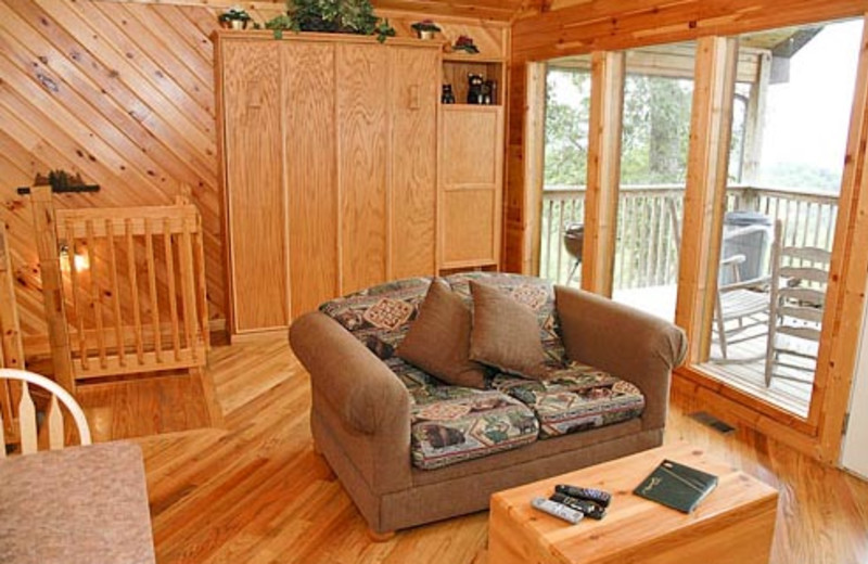 Vacation Rental Interior at Volunteer Cabin Rentals