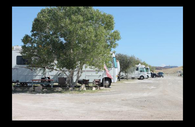 RV campground at Big Bend Resort & Adventures.