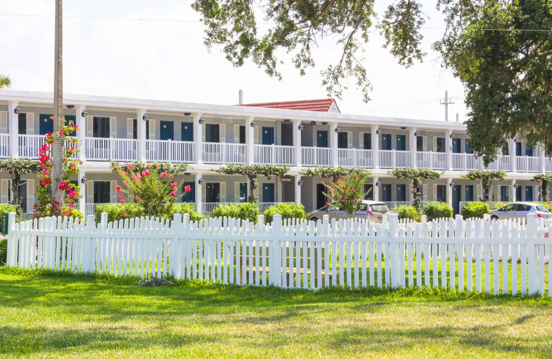 Fenced in dog park at Southern Oaks Inn.