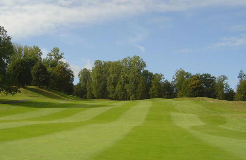 Golf course near Century 21 Action Inc.