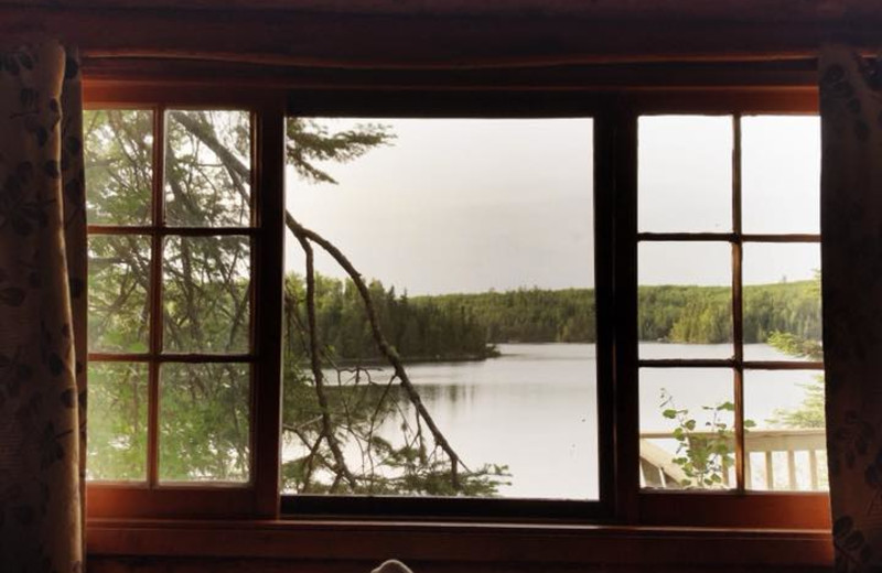View from Cabin 5's porch bed.