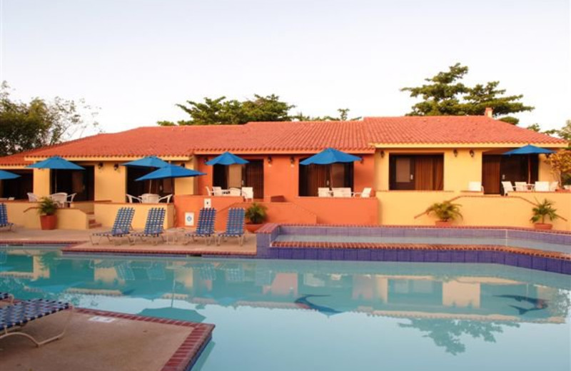 Dolphin Pool at Club Cala de Palmas