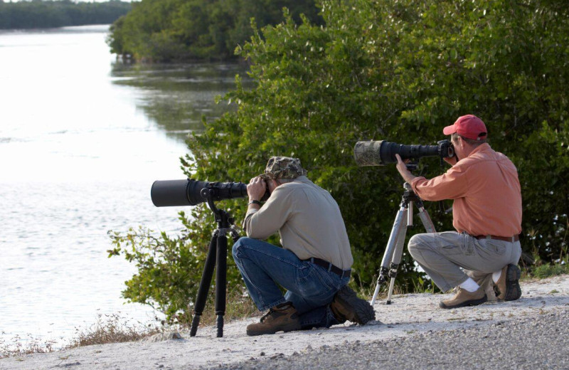 Great place for photography at The Lodge at Lane's End.