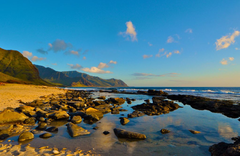 Beach near Hawaiian Vacation Rentals.