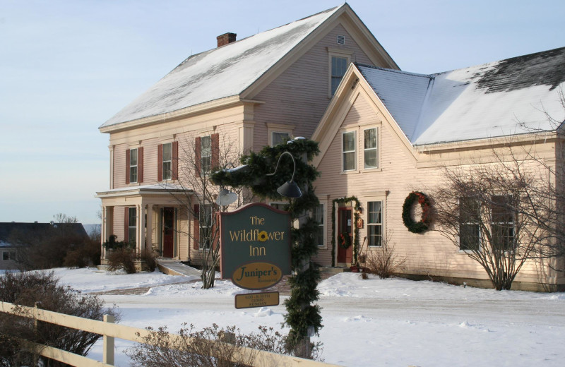 Winter at The Wildflower Inn.