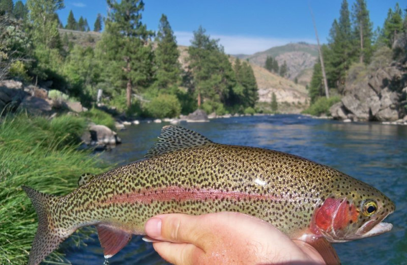 Fishing at Resort at Squaw Creek