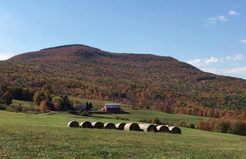 Mountain near Gavin's Irish Country Inn.