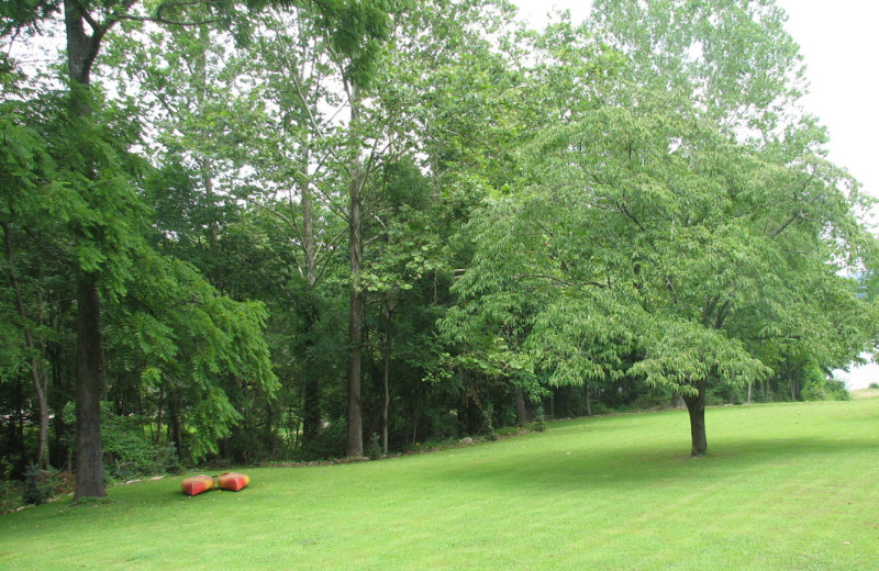 Grounds at Chateau Lake Logan.
