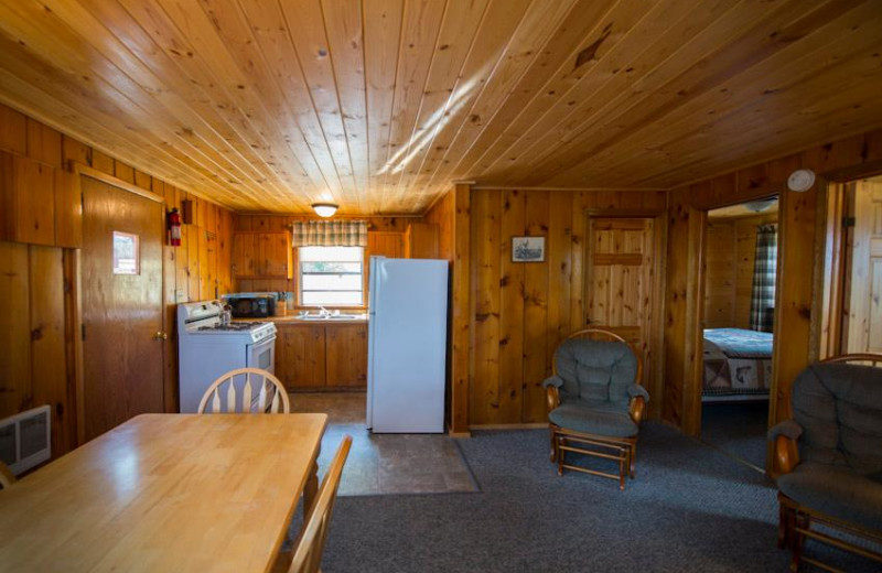 Cabin living room at Snyder's Idlewild Resort.