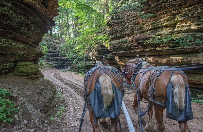 Lost Canyon near Cliffside Resort & Suites.