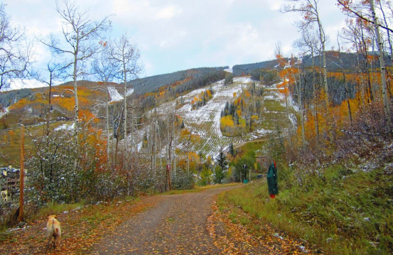 Hiking at The Borders Lodge.