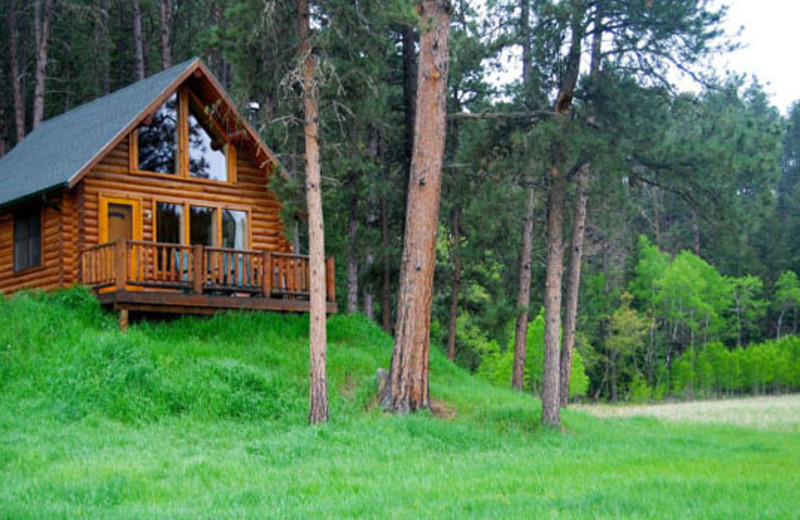 Cabin exterior at Newton Fork Ranch.