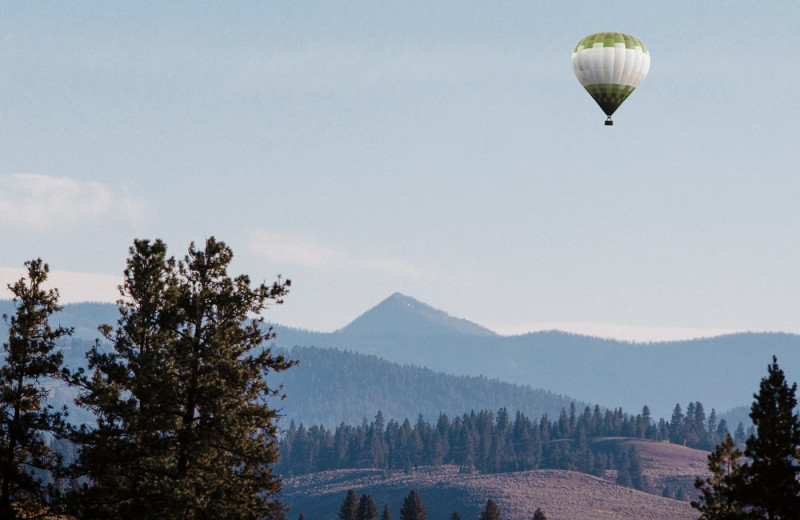 Balloon rides at The Green O.