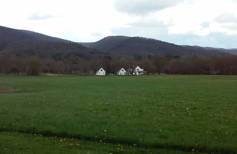 Yard view at The Shady House Lodge and Retreat Center.