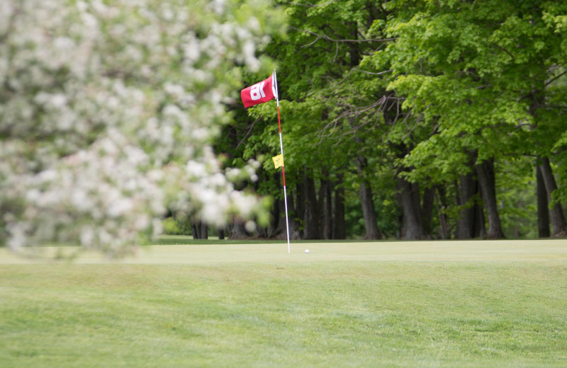 Golf course near Lynne Parks '68 SUNY Cortland Alumni House.