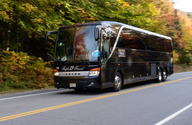 Bus tours at Snowy Owl Inn and Resort.