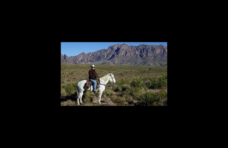 Horseback riding at Big Bend Resort & Adventures.