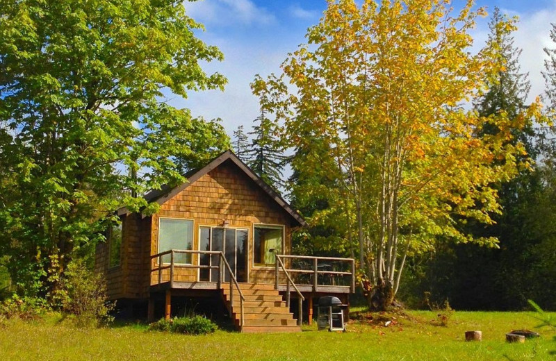 Cabin exterior at Olympic View Cabins.