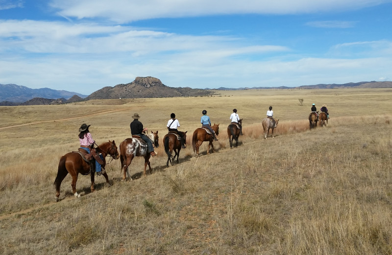 Horseback riding at Circle Z Ranch.