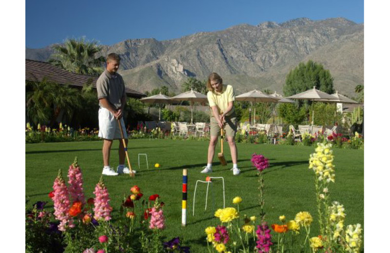 Croquet at Smoke Tree Ranch.