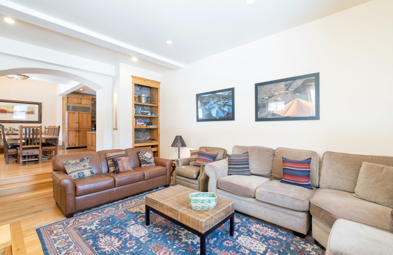 Rental living room at Accommodations in Telluride.