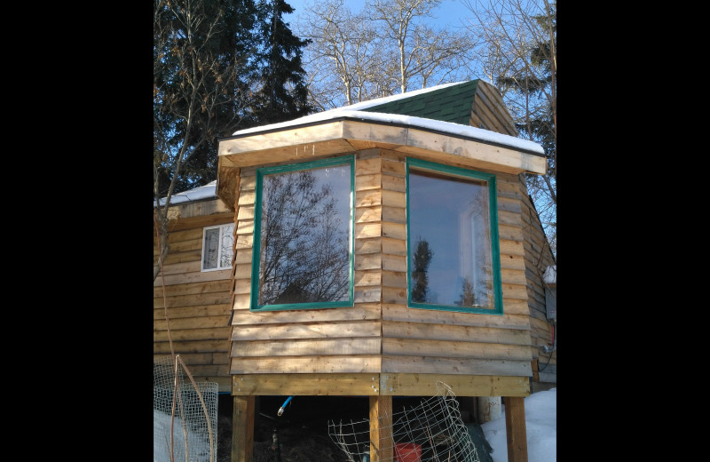Cabin exterior at Hungry Moose Bed and Breakfast.