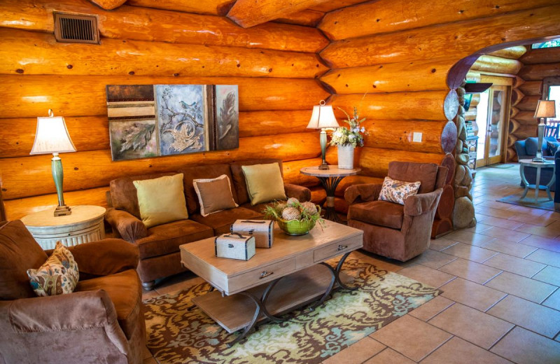 Guest living room at Log Country Cove.