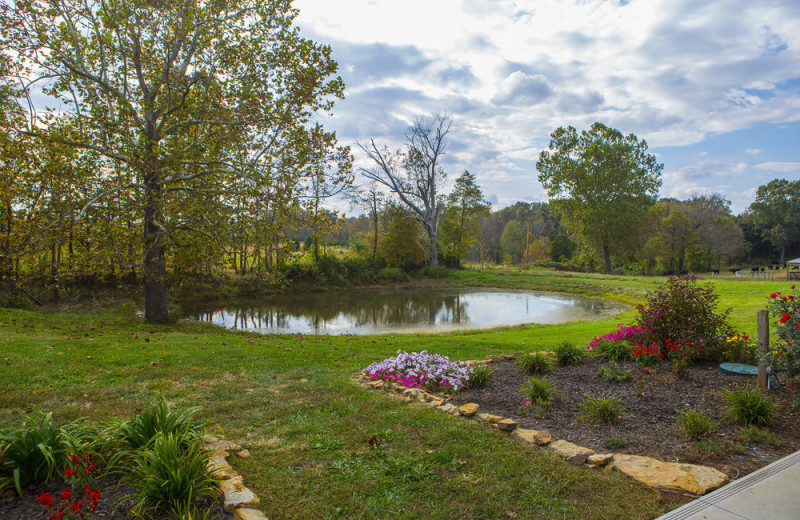 Grounds at Southern Grace Bed & Breakfast.